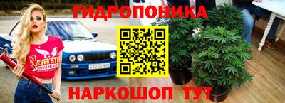 стафф Пугачёв