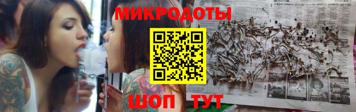 Новокубанск  Псилоцибиновые грибы Cubensis  где найти наркотики  Вход с VPN  Галлюциногенные грибы Psilocybe 